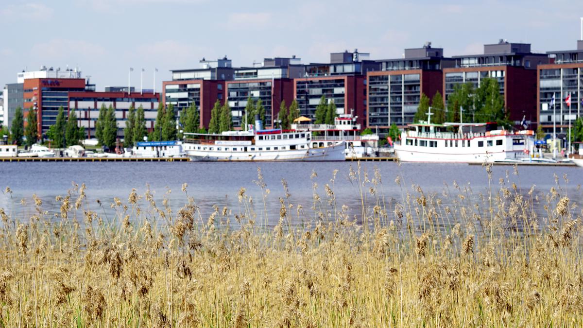Laivoja rannassa kerrostalojen edessä.